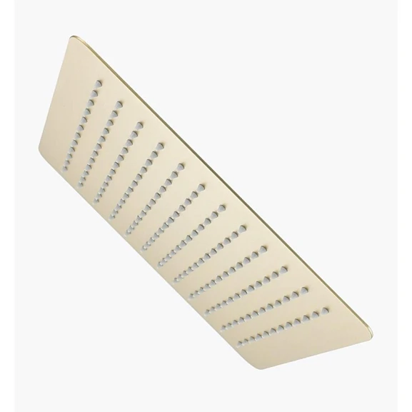 Верхний душ Raglo R451.55.03 золотой сатин